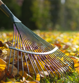 Design sem nome (9).png