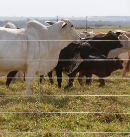 Design sem nome (6).png