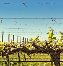 Design sem nome (7).png